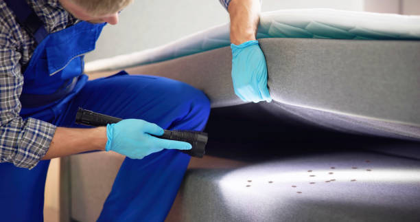 Best Pest Control for Homes  in Newberry, FL