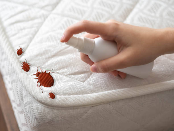 Best Pest Prevention Services  in Newberry, FL