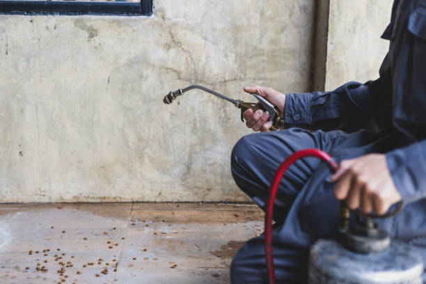 Best Exterminator Services  in Newberry, FL